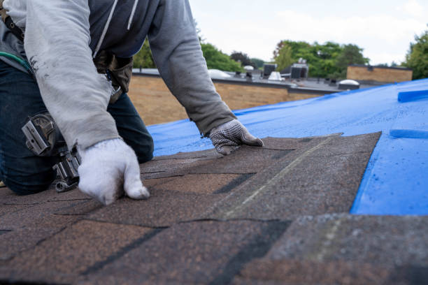 Best New Roof Installation  in Metamora, IL